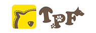 company logo19